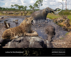 La Brea Tar Pits (Pleistocene)