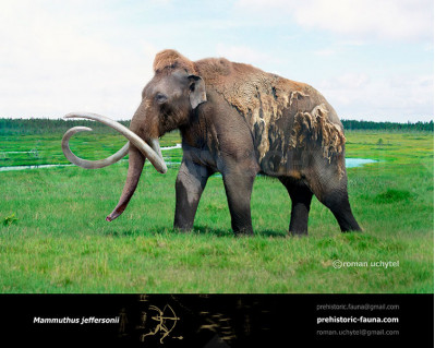 Jeffersonian Mammoth