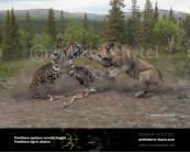 East Siberian cave lion and Siberian tiger