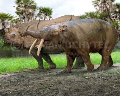 Size comparisons (South American native ungulates)