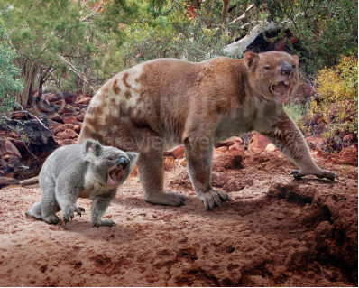 Size comparisons (Metatheria)