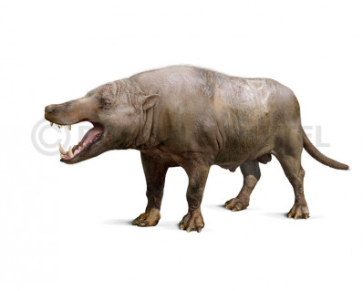 Andrewsarchus mongoliensis