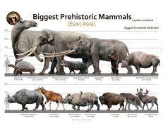 Biggest Prehistoric Mammals of East Asia (Herbivore), poster