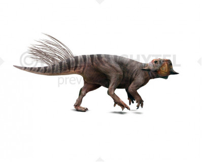 Psittacosaurus