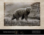 Nandi bear (Chemosit)