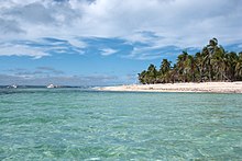 An idyllic beach scene with crystal clear water and tropical trees.