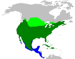 Chỉ mùa đông (xanh biển), chỉ mùa hè (xanh lá cây nhạt), quanh năm (màu xanh lá cây đậm)