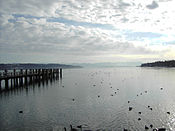 An da Uferpromenade z Starnberg, im Hintagrund de Zugspitz