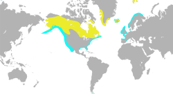 Distribución de G. immer      Área de cría     Área de invernada