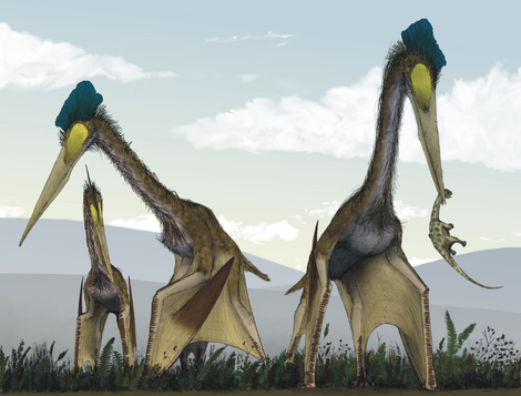 Quetzalcoatlus northropi