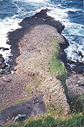 Giant’s Causeway von oben