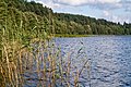 El lago Strusta, en Vítebsk