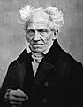 Arthur Schopenhauer, Philosopher