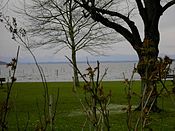 Blick iban Starnberga See vo Starnberg af Seeshaupt und de Oipm zua