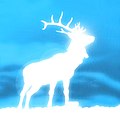 Harry's deer-shaped Patronus.