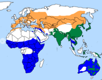 Laranxa: verán no norte Verde: todo o ano Azul: Verán no sur