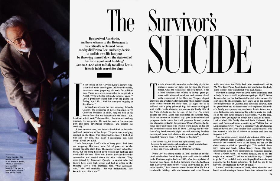 The Survivor's Suicide