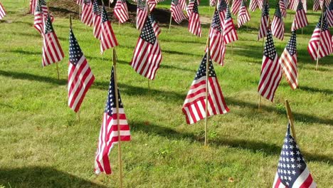 american flags on the green field fluttering in the breeze in the afternoon