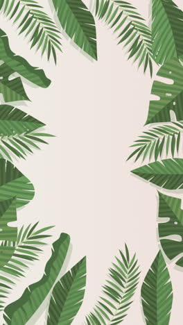 motion graphic of flat tropical leaves background