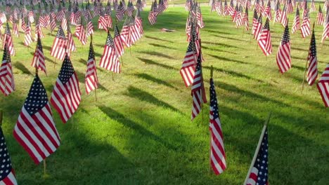 american flags on the green field fluttering in the wind in the afternoon