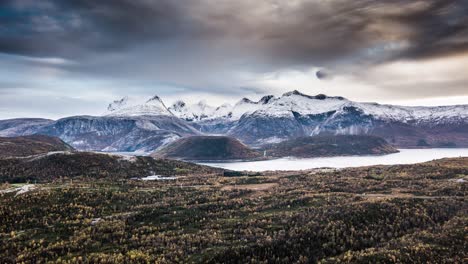 stark northern landscape