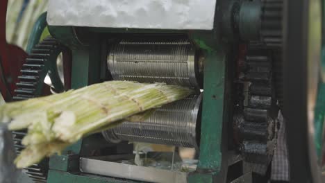 close up di un venditore di cibo di strada che schiaccia la canna da zucchero a bangalore, in india