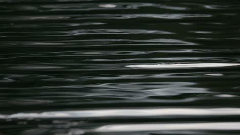 ripples and reflections on the lake