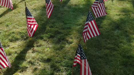 rows of the usa flags on the lawn in the shade of the tree