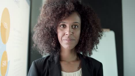 portrait of african american pretty businesswoman in office room