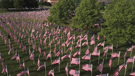 field of american flags on memorial day weekend