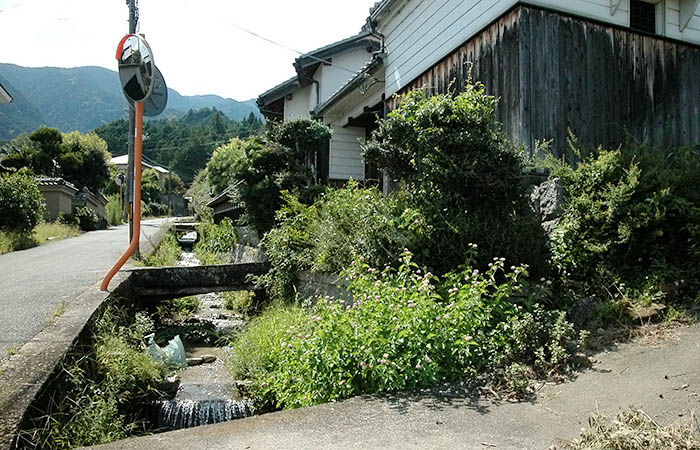 葛城市の水道水源ため池の近く。清らかな川が流れ、落ち着いた暮らしぶりを見せる=2019年9月、同市内