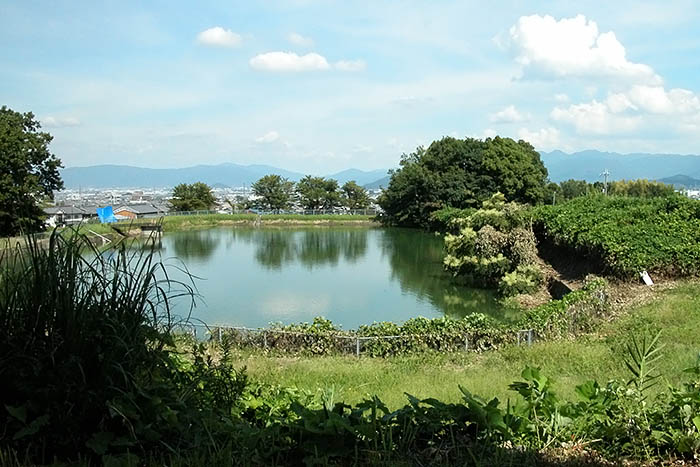 葛城市営浄水場とつながれている江戸期のため池＝2019年9月、葛城市南藤井