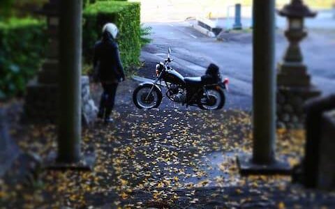 バイクポートレート イチョウと鳥居