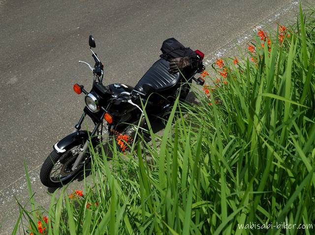 オートバイ(SR125)とヒメヒオウギズイセン(金魚草)