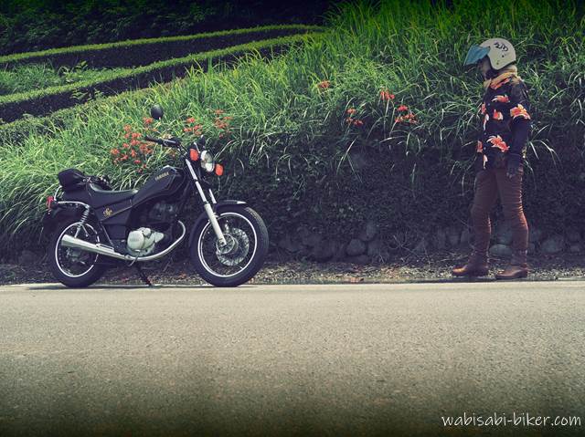 ヒメヒオウギズイセン(金魚草)とアロハシャツのバイク乗り