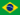 Português Brasileiro