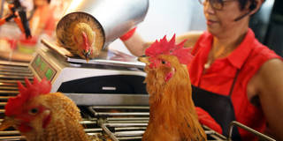 singer180_David WongSouth China Morning Post via Getty Images_chinawetmarketchickens