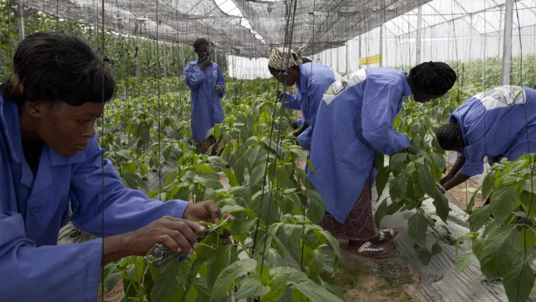 Women farmers