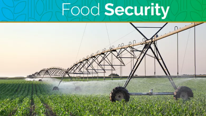 Food Security Update