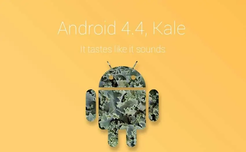 android-kale