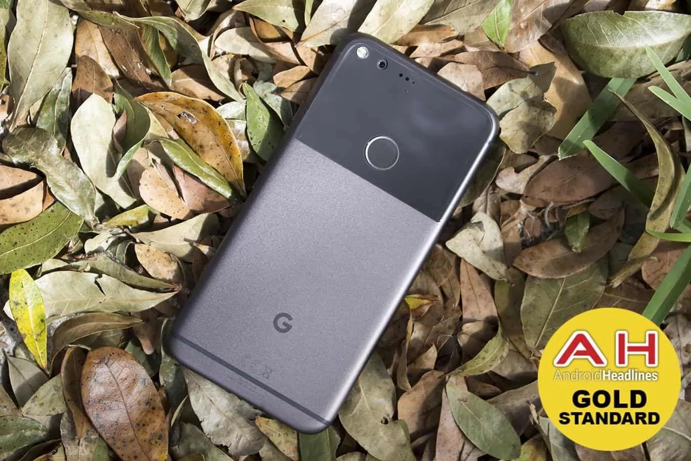 Featured image for Review: Google Pixel and Pixel XL
