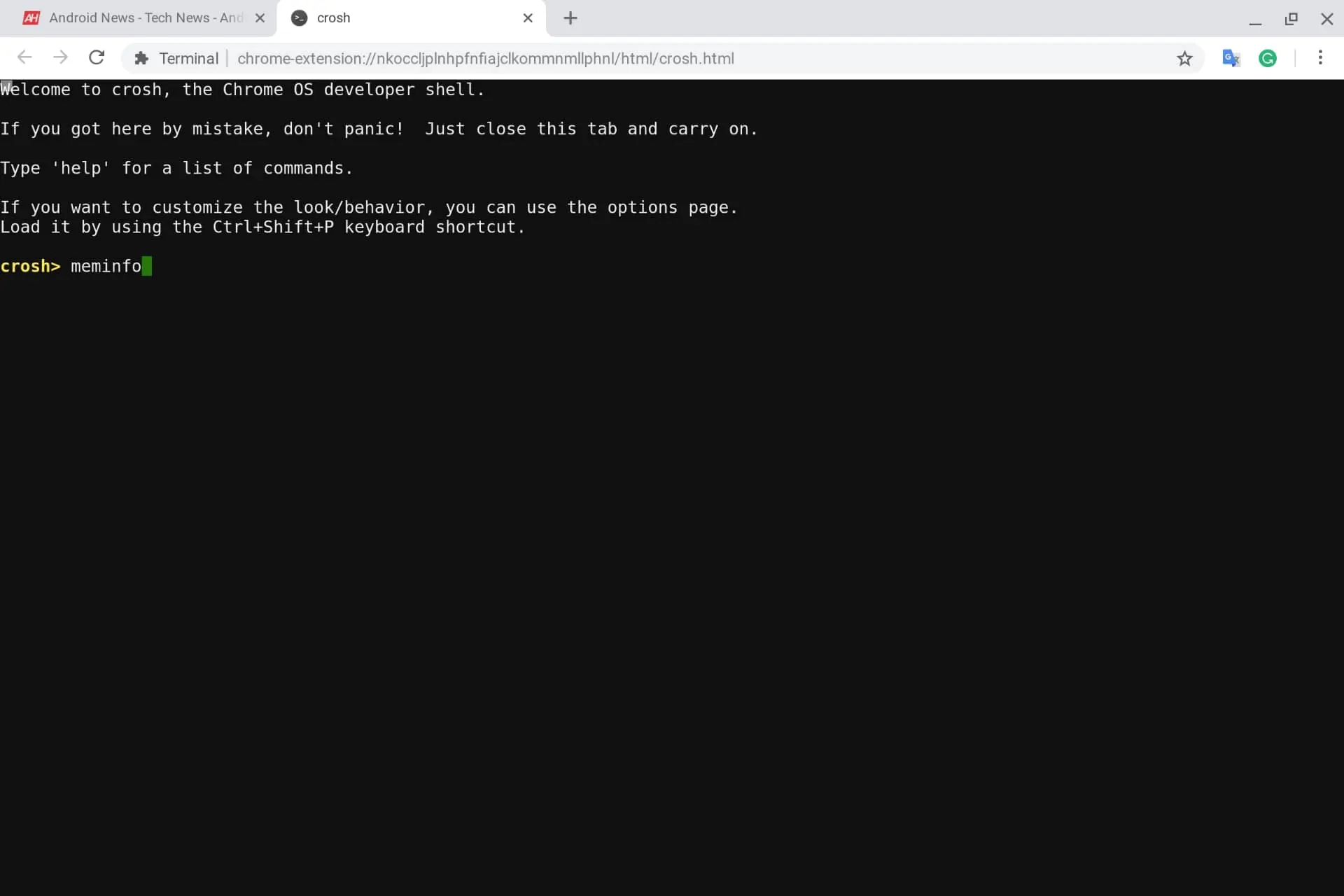 Chrome OS Memory Check Crosh 00