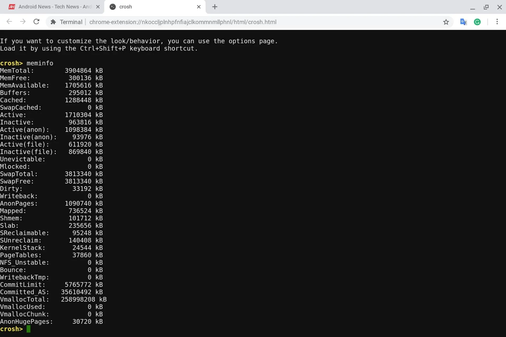 Chrome OS Memory Check Crosh 01