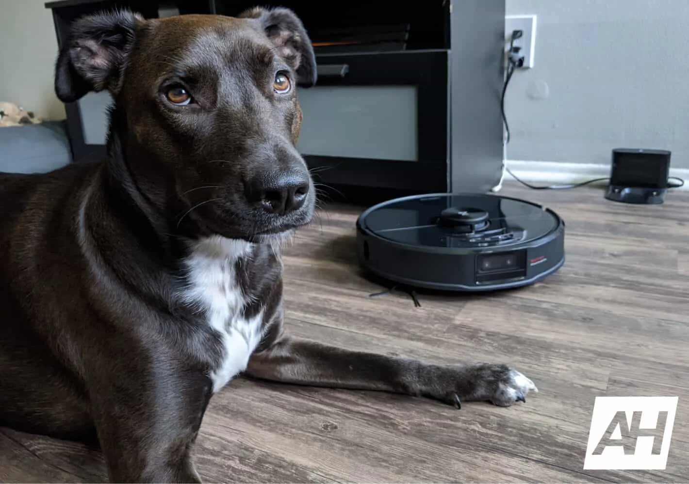 Featured image for Got Pets? Then You Need The Roborock S6 MaxV AI
