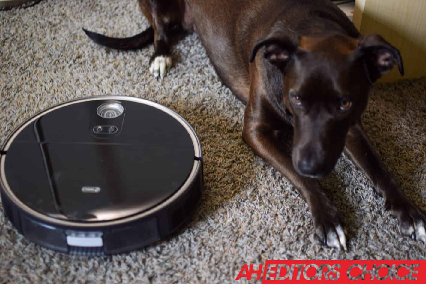 Featured image for 360 S10 Robot Vacuum Review-The New King for Pet Owners