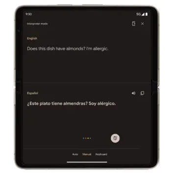 Pixel Fold Dual Translate innerscreen