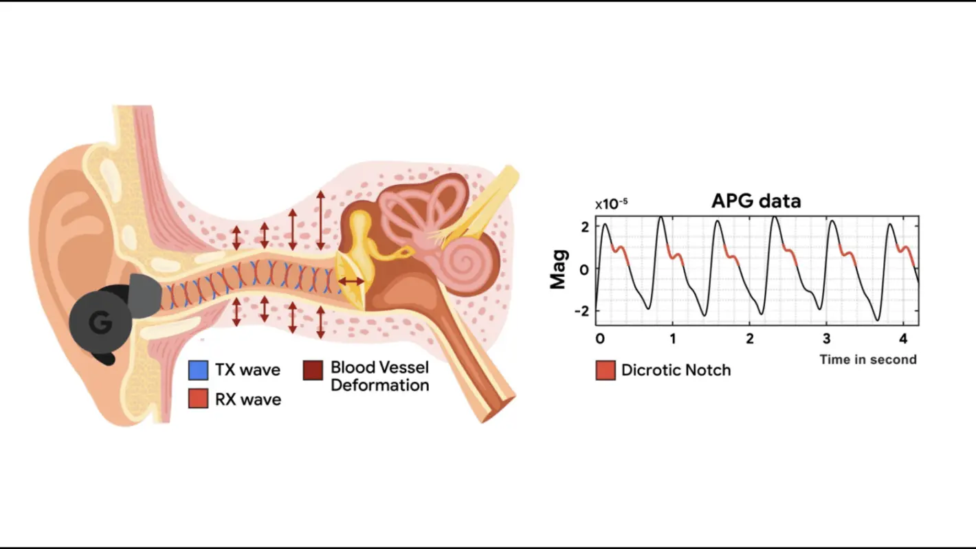 Featured image for Google researchers can make any ANC earbuds into heart rate trackers