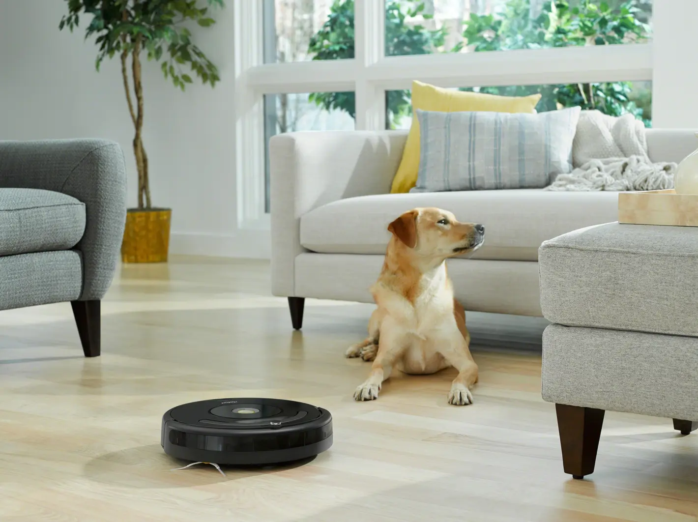 Featured image for Best iRobot Roomba Robot Vacuums for June 2024