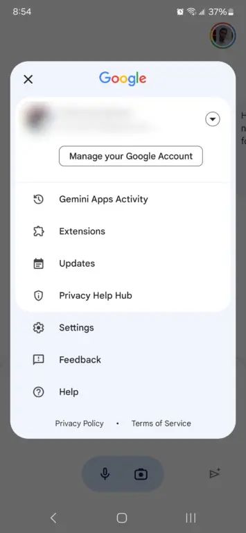 Gemini app screenshot 2