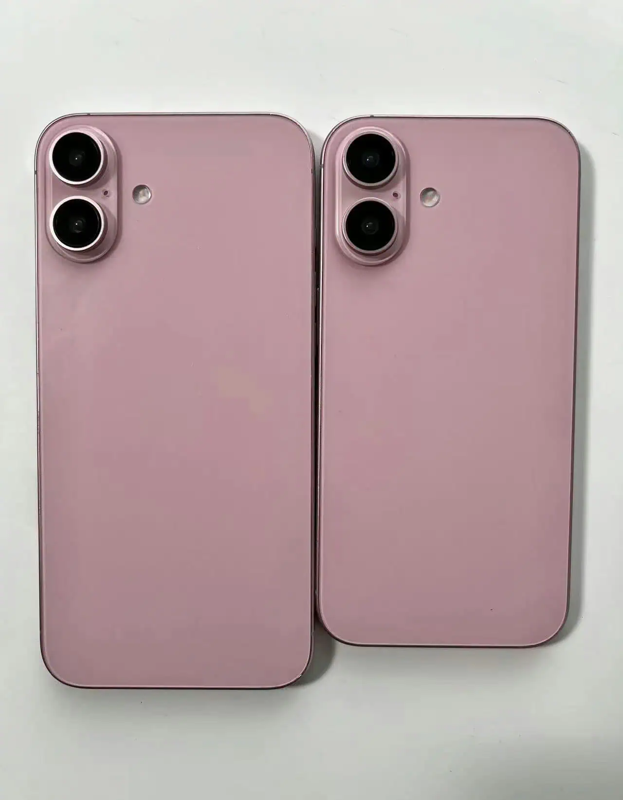 iPhone 16 Plus and iPhone 16 dummy units 1